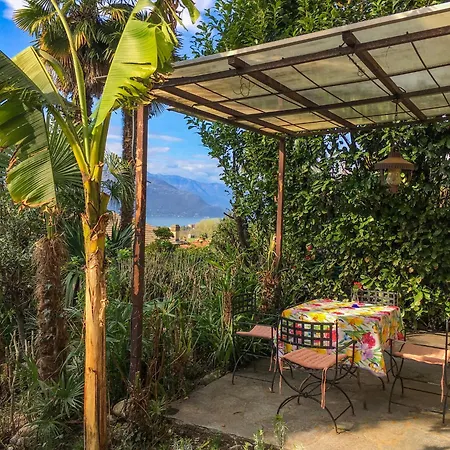 Appartamento Ibisco *