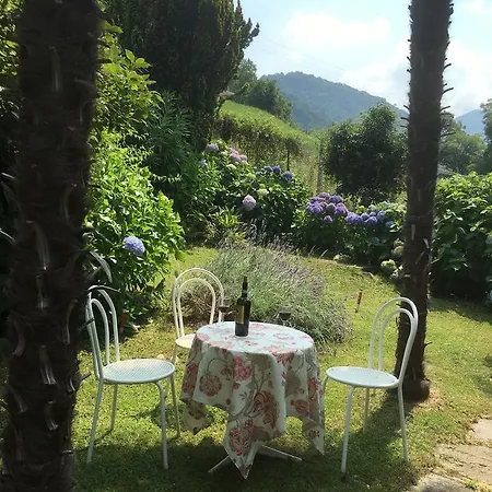Ibisco * Porto Valtravaglia